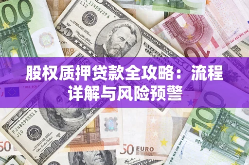 北京股权质押贷款全攻略：流程详解与风险预警