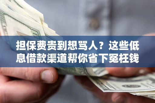 北京担保费贵到想骂人？这些低息借款渠道帮你省下冤枉钱