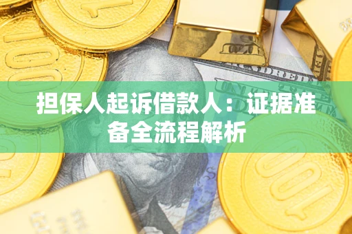 北京担保人起诉借款人：证据准备全流程解析